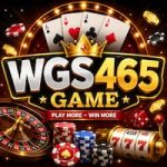 WGS465 Game